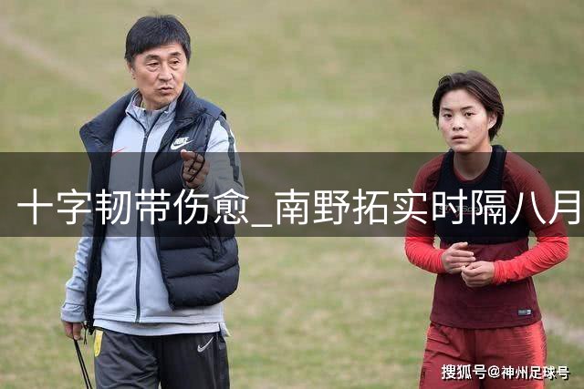 十字韧带伤愈 南野拓实时隔八月重返摩纳哥阵容